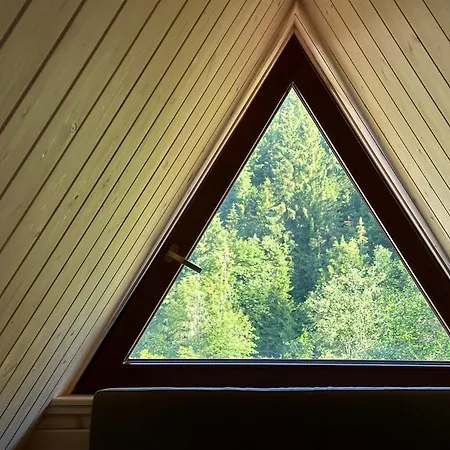 Krystynka Giewont Daire *